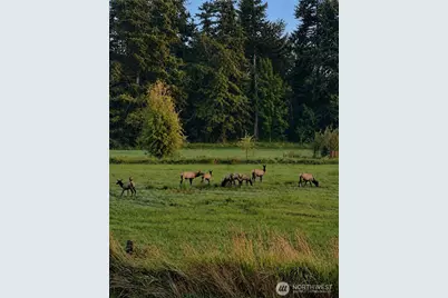 15620 143rd Avenue SE, Yelm, WA 98597 - Photo 39
