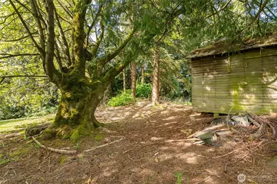 399 E Smith Road, Bellingham, WA 98226 - Photo 27