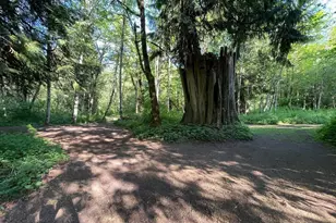 15901 108th St E, Puyallup, WA 98374 - Photo 21