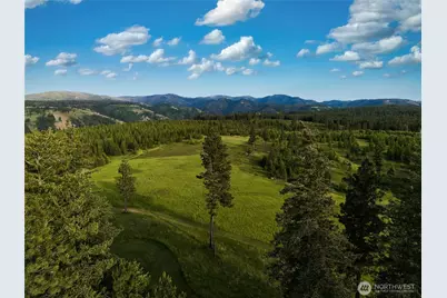 1335 Payne Hollow Road, Dayton, WA 99328 - Photo 17