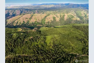 1335 Payne Hollow Road, Dayton, WA 99328 - Photo 27