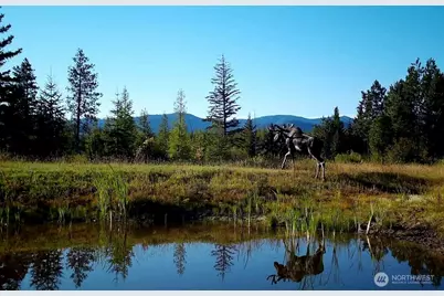 1335 Payne Hollow Road, Dayton, WA 99328 - Photo 21
