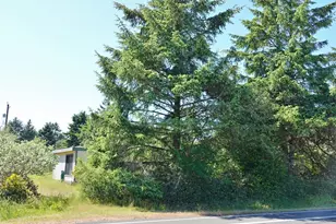 307 Point Brown Ave SW, Ocean Shores, WA 98569 - Photo 7
