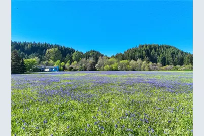 4531 Old Military Road SE, Tenino, WA 98589 - Photo 37
