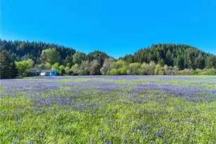 4531 Old Military Rd SE, Tenino, WA 98589 - Photo 37