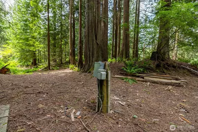 25368 Old Day Creek Road, Sedro Woolley, WA 98284 - Photo 35