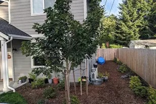 1214 Hall St SE, Lacey, WA 98503 - Photo 5