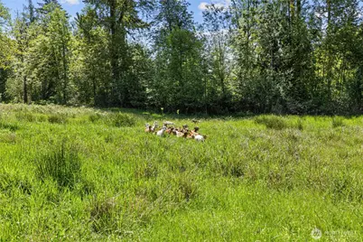 34225 166th Way SE, Auburn, WA 98092 - Photo 35