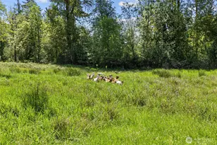 34225 166th Way SE, Auburn, WA 98092 - Photo 35