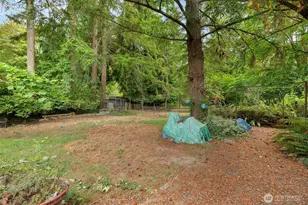 11540 6th Ave SE, Olympia, WA 98513 - Photo 27
