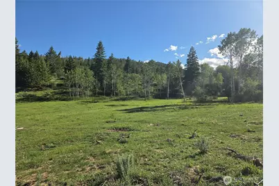 1066 A Ellemeham Mountain Road, Oroville, WA 98844 - Photo 29