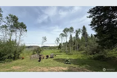 1066 A Ellemeham Mountain Road, Oroville, WA 98844 - Photo 27