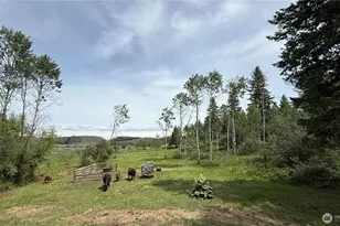 1066A Ellemeham Mountain Rd, Oroville, WA 98844 - Photo 27