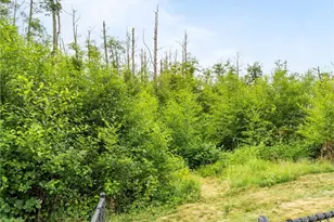 6428 277th St NW, Stanwood, WA 98292 - Photo 37