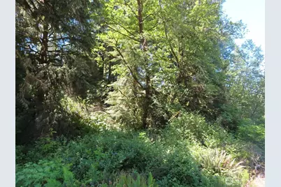 0 Xxx State Route 101, South Bend, WA 98586 - Photo 9