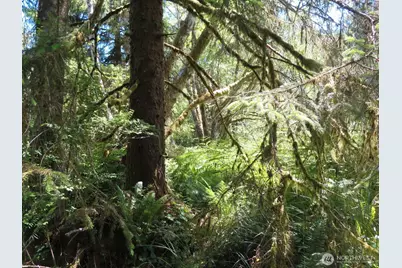0 Xxx State Route 101, South Bend, WA 98586 - Photo 11