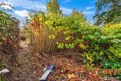 0 Fir Street, Milton, WA 98354 - Photo 15