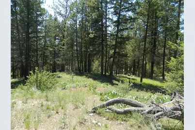16 Summit Lake Road, Tonasket, WA 98855 - Photo 11