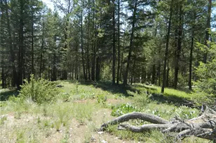 16 Summit Lake Rd, Tonasket, WA 98855 - Photo 11