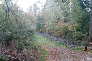 18661 Renton-Maple Vly Rd, Maple Valley, WA 98038 - Photo 27