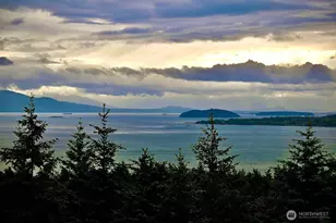 206 Upper Cow Hill Rd, Orcas Island, WA 98279 - Photo 3