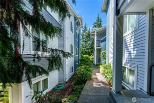 907 N 163rd St, Shoreline, WA 98133 - Photo 19