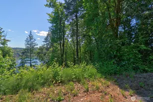 300 E Bridger Ln, Shelton, WA 98584 - Photo 1