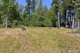 15711 Vail Cut Off Rd SE, Rainier, WA 98576 - Photo 33