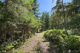 5541 S Doss Rd, Port Angeles, WA 98362 - Photo 31