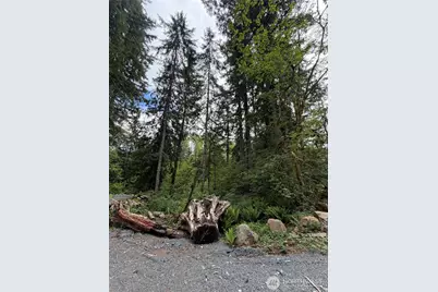 55015 315th Avenue, Ashford, WA 98304 - Photo 3