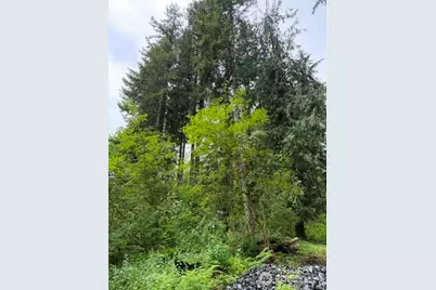 55015 315th Avenue, Ashford, WA 98304 - Photo 5