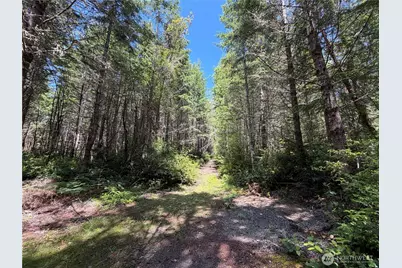 178 Geoduck Drive, Quilcene, WA 98376 - Photo 3
