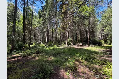 178 Geoduck Drive, Quilcene, WA 98376 - Photo 5