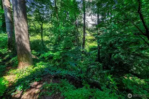 1108 NE 106th St, Seattle, WA 98125 - Photo 39