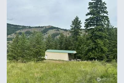 117 Two Horse Road, Wauconda, WA 98859 - Photo 29