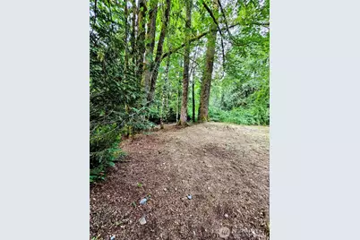 23618 SE Tiger Mountain Road, Issaquah, WA 98027 - Photo 29