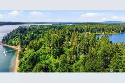 11209 Riviera Drive, Anderson Island, WA 98303 - Photo 35
