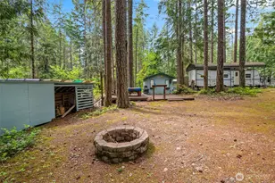 20 N Mount Jupiter Ct, Hoodsport, WA 98548 - Photo 1