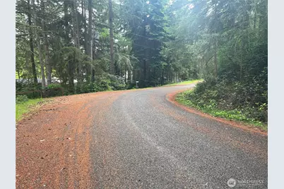 11111 Juniper Place, Anderson Island, WA 98303 - Photo 3