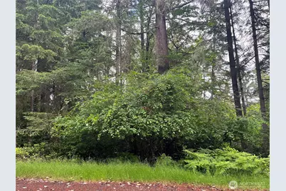 11111 Juniper Place, Anderson Island, WA 98303 - Photo 19