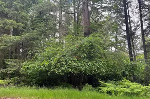 11111 Juniper Pl, Anderson Island, WA 98303 - Photo 19