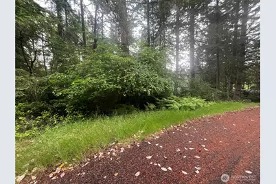 11111 Juniper Place, Anderson Island, WA 98303 - Photo 5