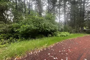 11111 Juniper Pl, Anderson Island, WA 98303 - Photo 5