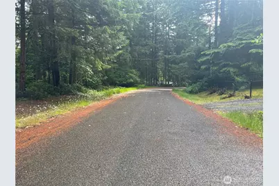 11111 Juniper Place, Anderson Island, WA 98303 - Photo 11