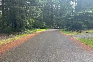 11111 Juniper Pl, Anderson Island, WA 98303 - Photo 11