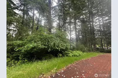 11111 Juniper Place, Anderson Island, WA 98303 - Photo 7