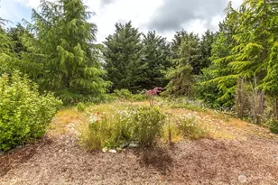 61 Snapdragon Ln, Sequim, WA 98382 - Photo 9