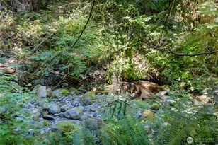 600 N Beacon Point Loop North, Lilliwaup, WA 98555 - Photo 25