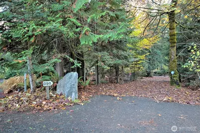 898 SE Dahman Road, Shelton, WA 98584 - Photo 35