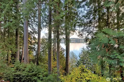 898 SE Dahman Road, Shelton, WA 98584 - Photo 39
